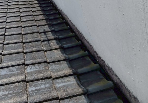 パラペットの箱樋の点検　問題なし